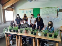 Projekt „Grünes Klassenzimmer“